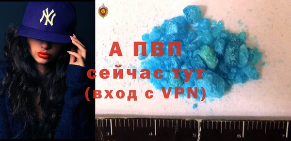 индика Бородино