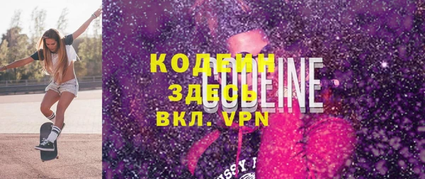 индика Бородино