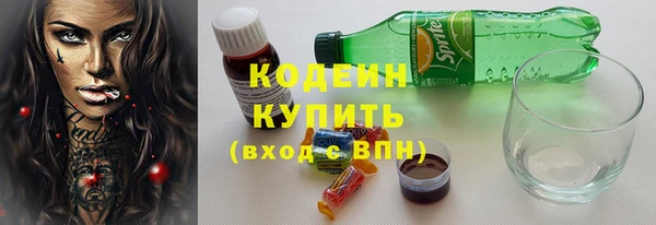 индика Бородино