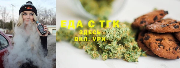 индика Бородино