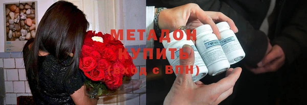 индика Бородино