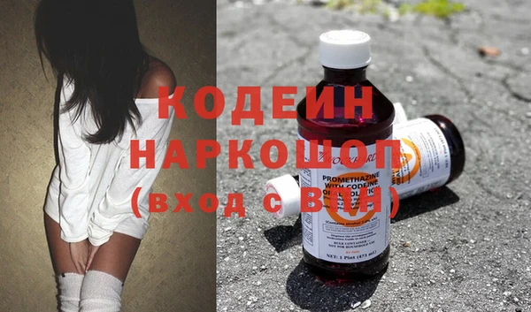 индика Бородино