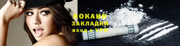 индика Бородино