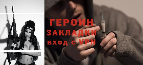 индика Бородино