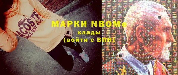 индика Бородино
