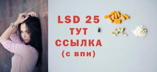 индика Бородино