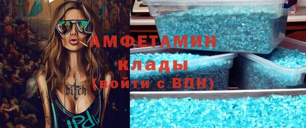 индика Бородино