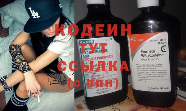 индика Бородино