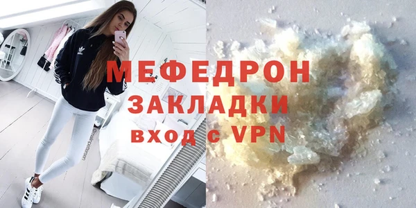 индика Бородино