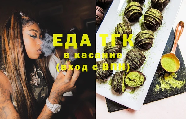 индика Бородино