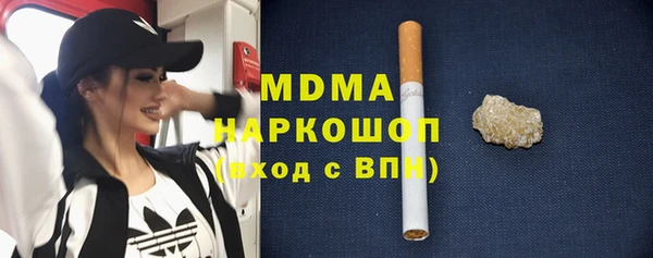 индика Бородино