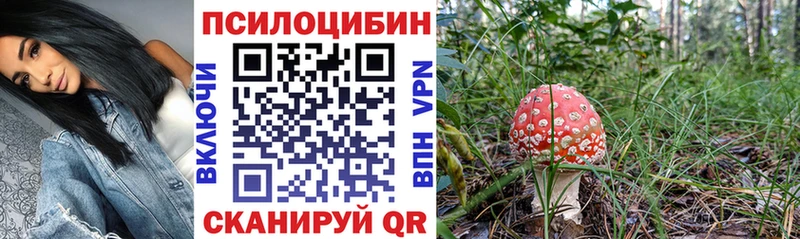 Псилоцибиновые грибы Psilocybine cubensis  где купить   Новопавловск 